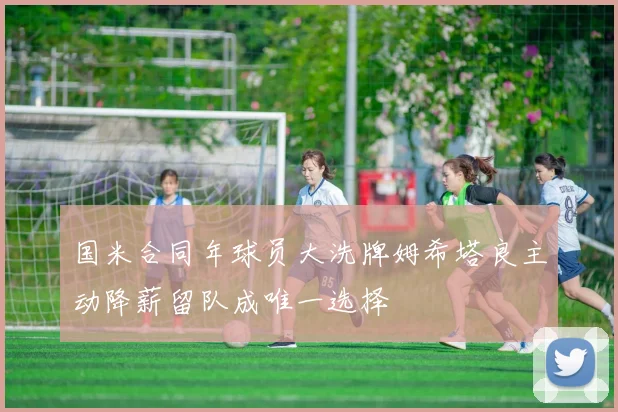 国米合同年球员大洗牌姆希塔良主动降薪留队成唯一选择